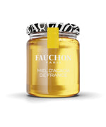 Miel d'Acacia de France