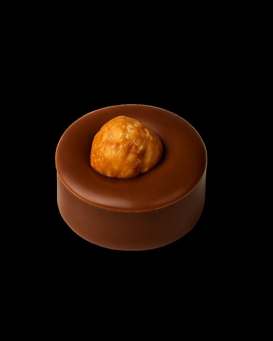 Bonbon de chocolat praliné noisettes sur base lait