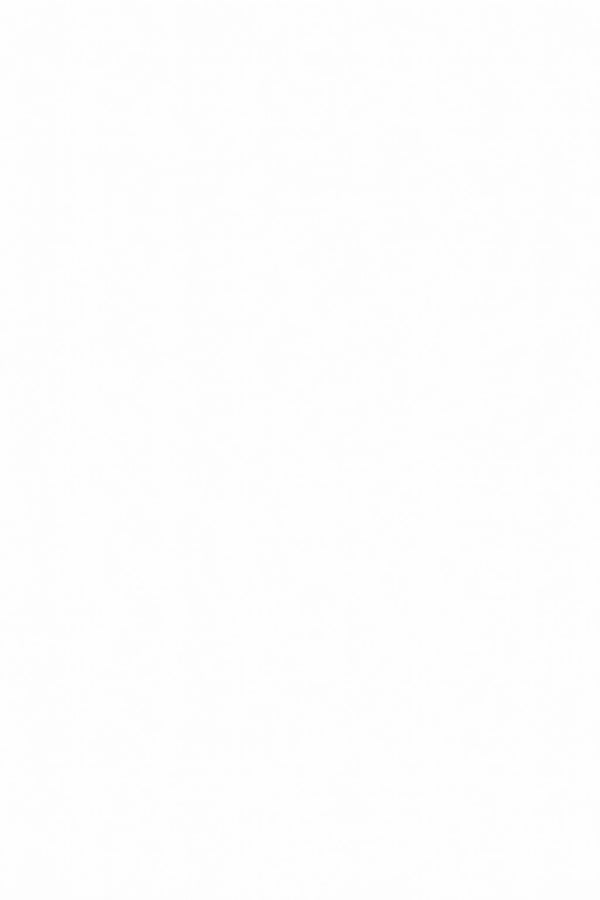 La marguerite FAUCHON