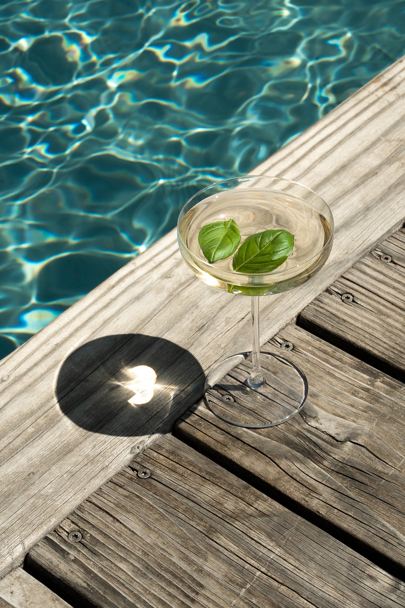 Infusion Jardin Méditerranéen