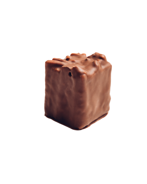 Old-fashioned praline bite, dark chocolate