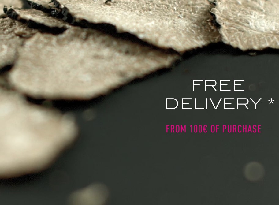 Free shipping (France) from €100