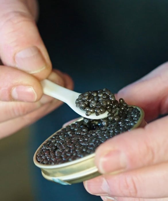 What to eat with Caviar?