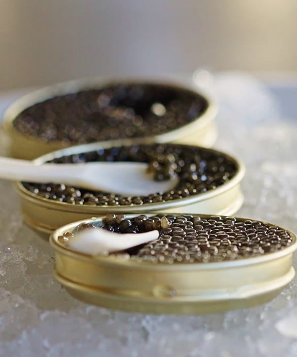How to taste caviar ? 